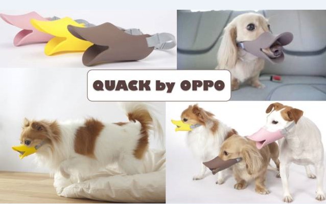 珠三角(jiǎo)矽膠製品生產基地(dì)