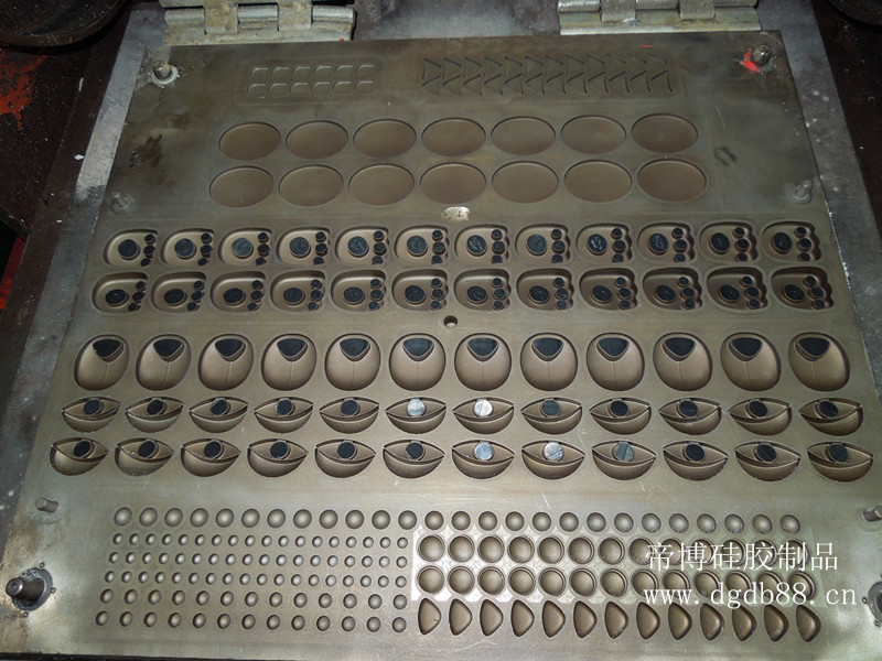 照(zhào)片 123_副本.jpg