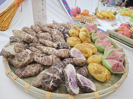 象形麵點參展作品：芋頭土豆（dòu）等.jpg