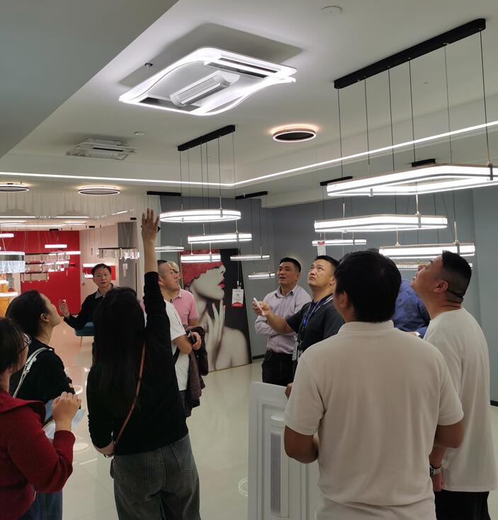 草莓视频在线智能照明 | 明星經銷商座談會暨24年春季（jì）新品調研會